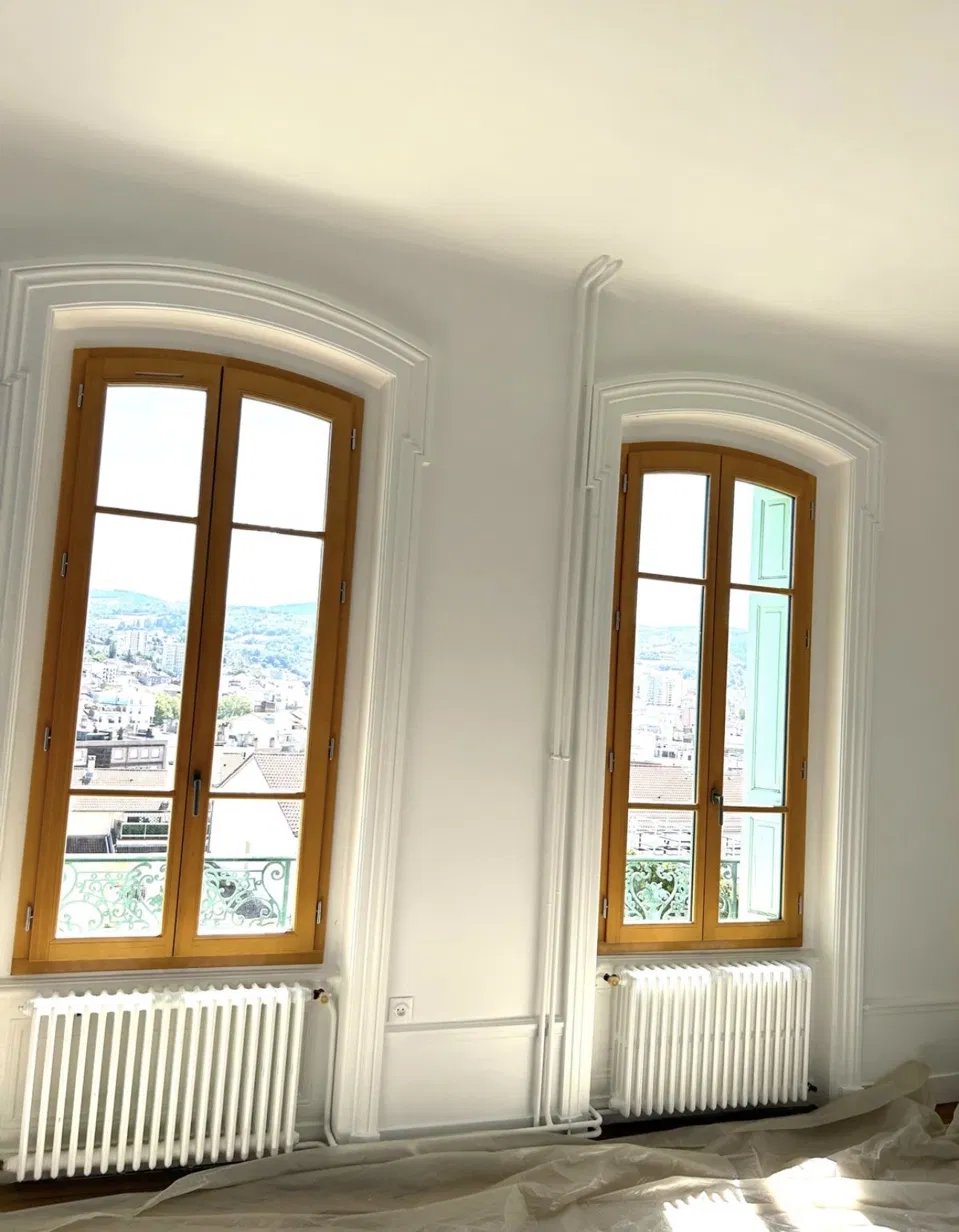 Remplacement de fenêtres bois - Vue sur les collines stéphanoises